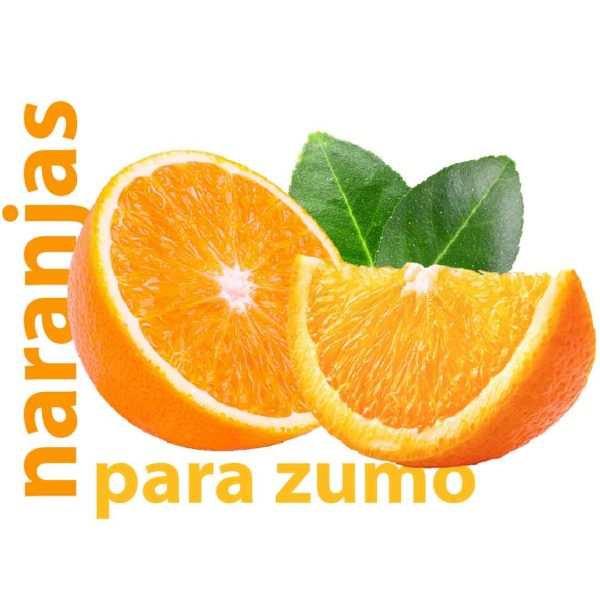 comprar naranjas de zumo de valencia a domicilio