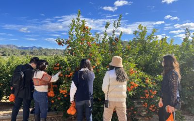 Actividades al aire libre y visitas en el Huerto de Naranjas Ribera