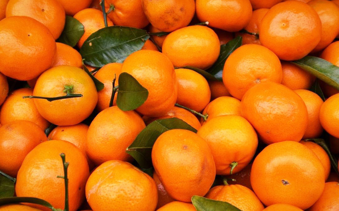 diferencias naranjas y mandarinas