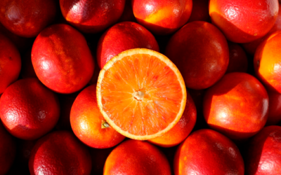 Naranja Sanguina: Todo lo que debes saber de esta variedad